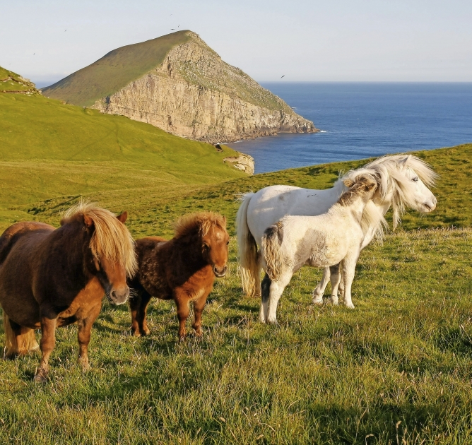 Für was ist Shetland bekannt?