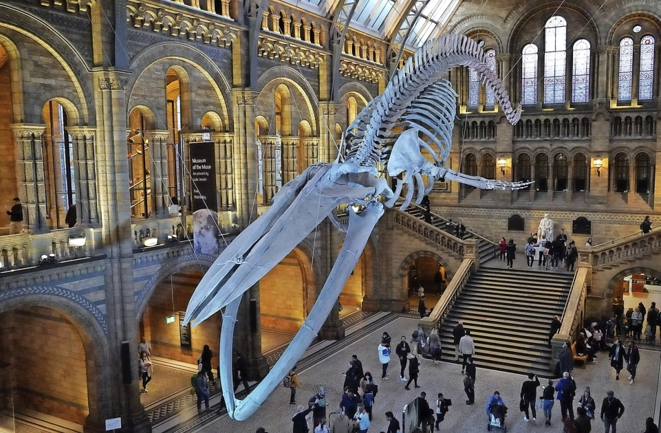 natural-history-museum-london